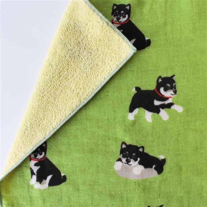 犬のエリザベスカラーを手作りするなら：タオル活用の安全な作り方
